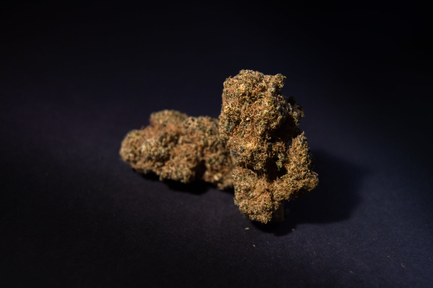 Gelato Dream