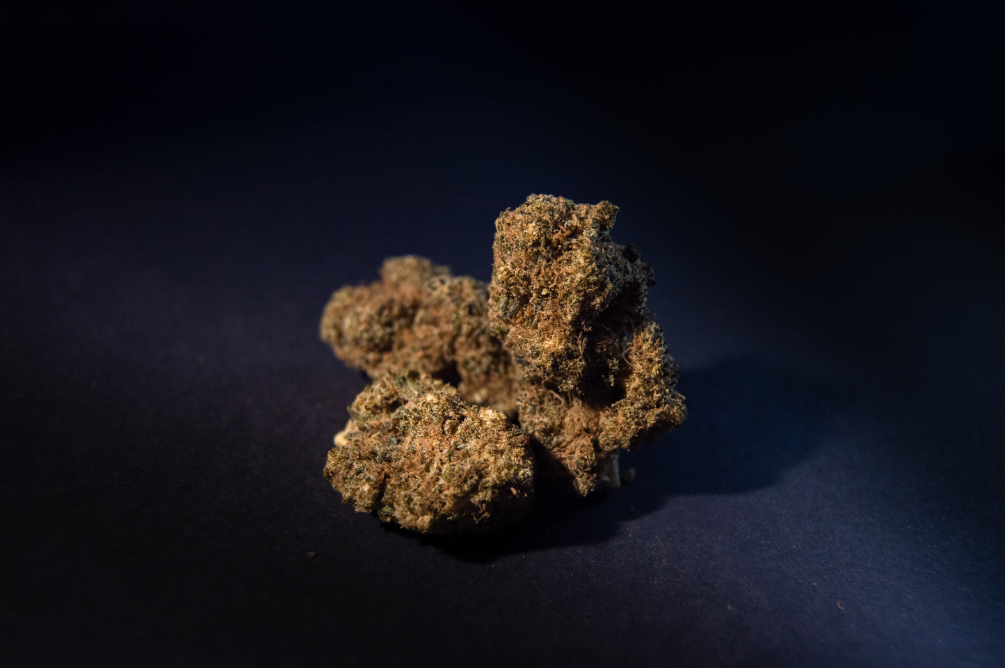 Gelato Dream