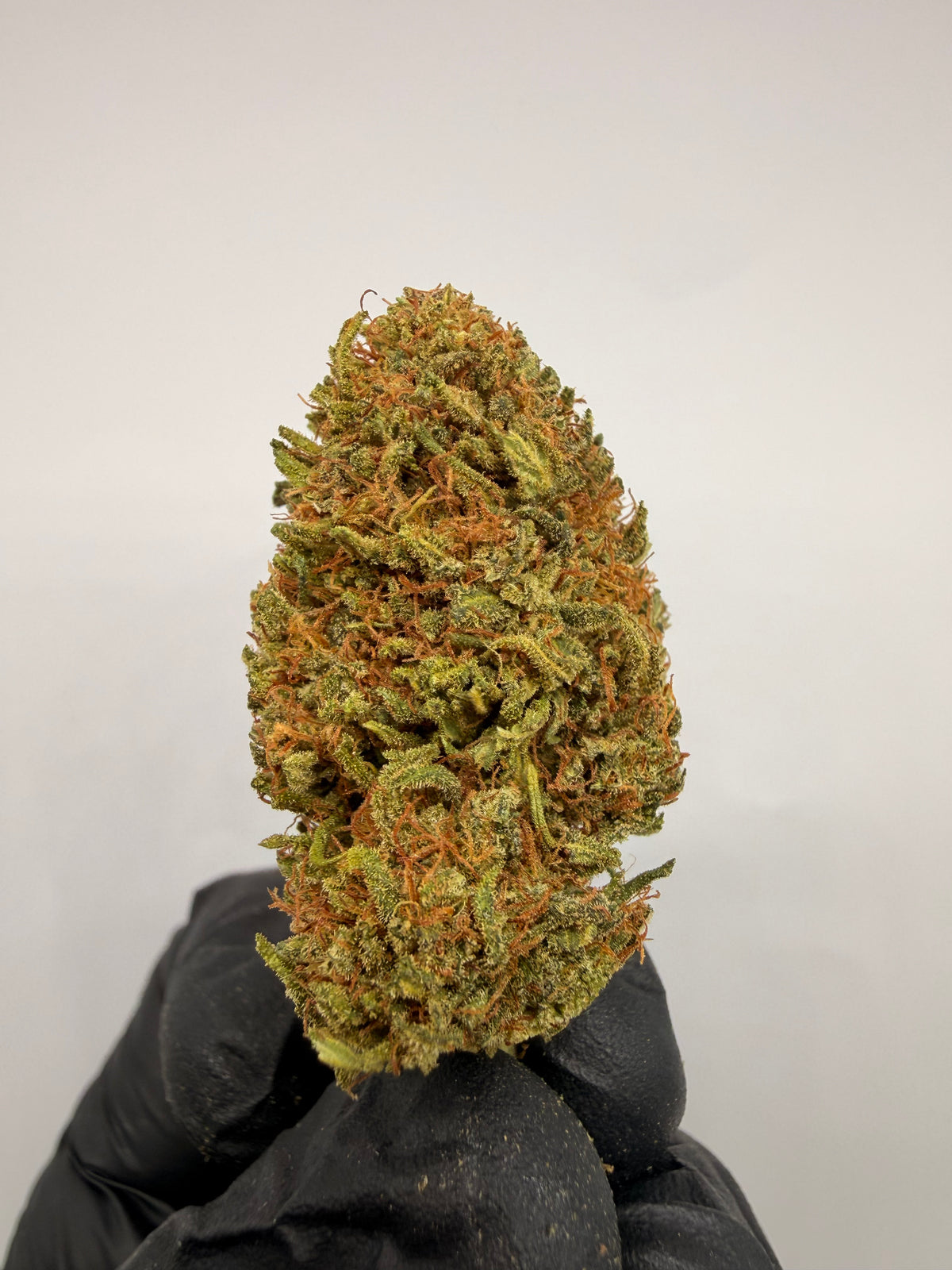 Super Silver Haze