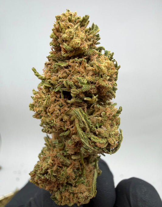 Critical