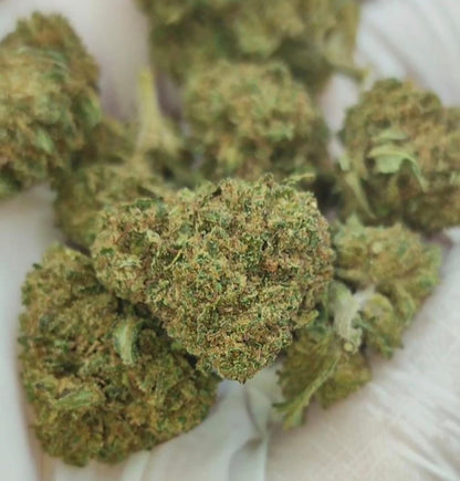 Bubblegum XS