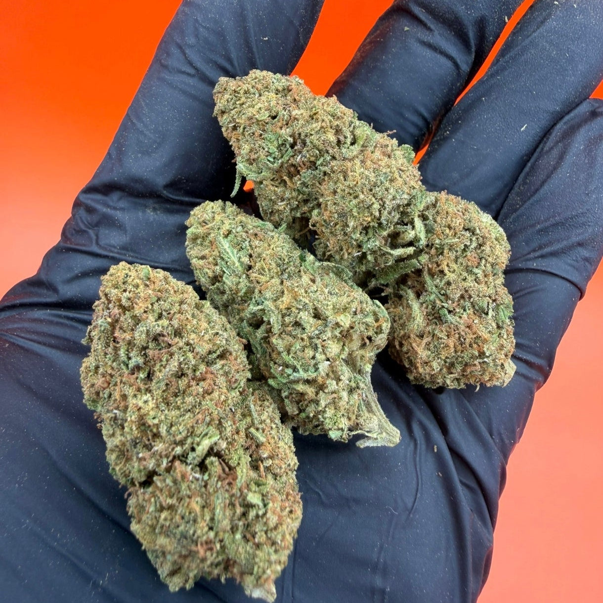 Cósmic Kush
