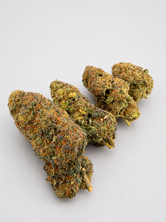 Tropical Ghost